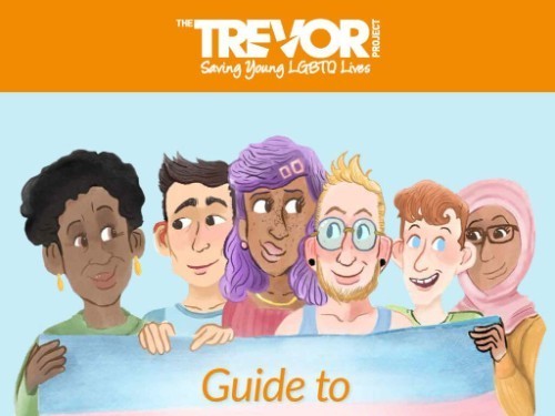 Expansive Unlimited Sexual Orientations - Trevor Project
